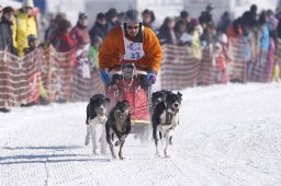 Lenk 2013